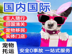 宜春明月山机场货运国际宠物托运 【国